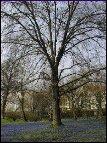 Der botanische Garten
